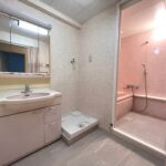 洗面化粧台・洗濯機置場 洗面化粧台・洗濯機置場