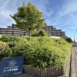 【コート甲子園南Ⅰ番館】仲介手数料無料 【コート甲子園南Ⅰ番館】仲介手数料無料